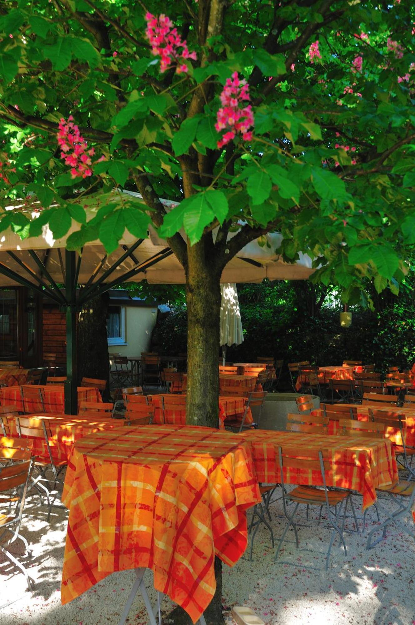 Austria Classic Hotel Hoelle Salzburgo Exterior foto